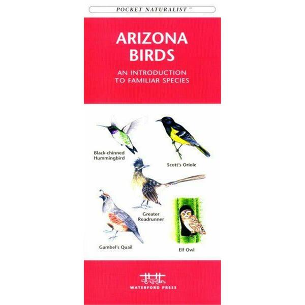 Waterford Press Arizona Birds Book: An Introduction to Familiar Species State Nature Guides WFP1583551073